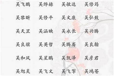 吳 取名|吴姓寓意好的男孩名字（精选200个）